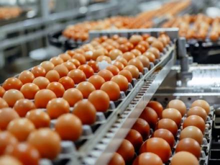 Illinois food poisoning lawyer