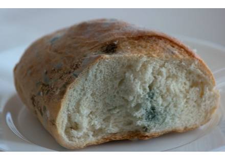 Illinois food poisoning lawyer