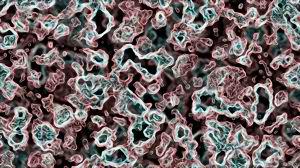 E. Coli Prevention in Chicago Beach Waters