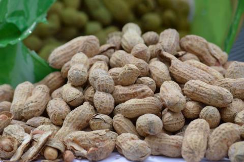 Peanut Corporation of America Jailed for Salmonella Outbreak